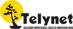 logo-valores-telynet