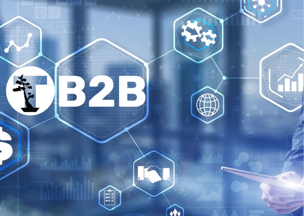 TelyNET-B2B-relacion TelyNET-B2B-relacion