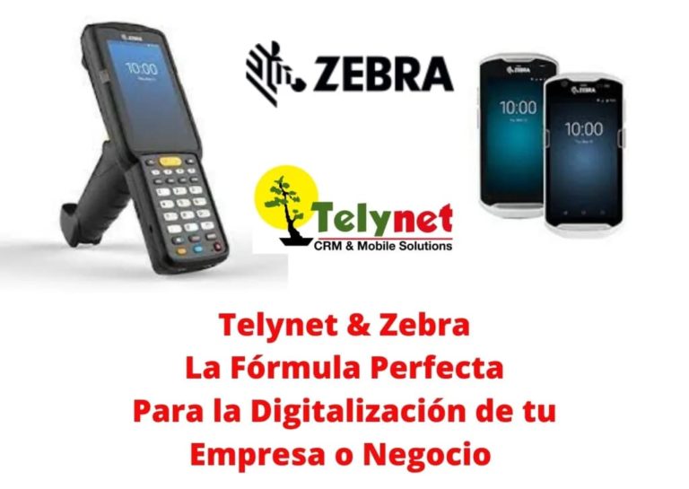 Telynet & Zebra